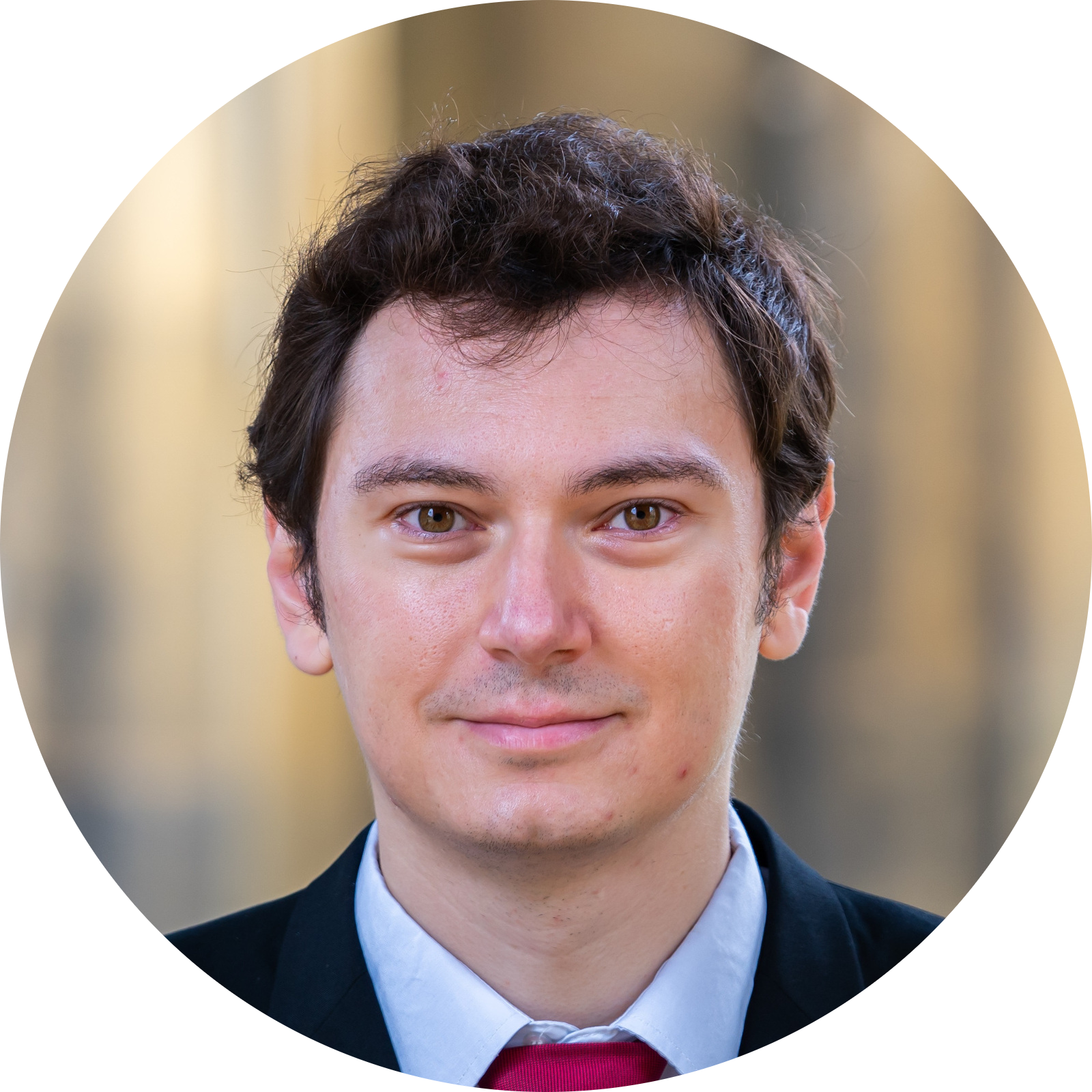 Go to the profile of Virgil Andrei