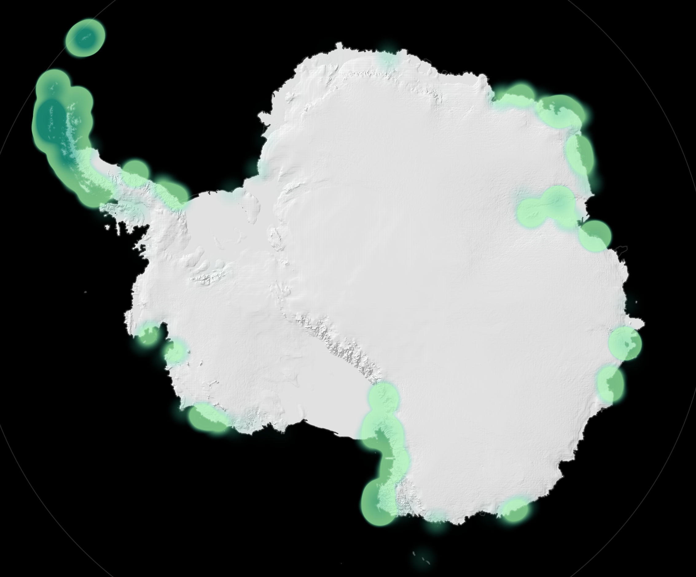 The frosty flora of Antarctica 