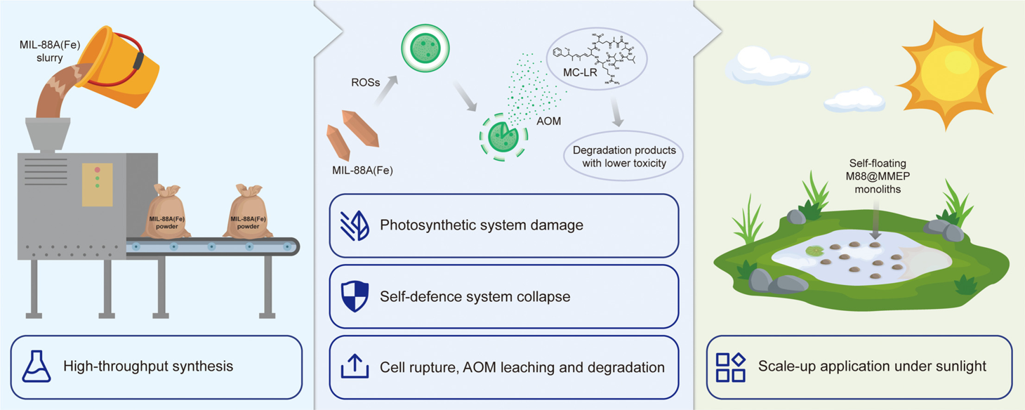 Turning Sunlight and MOF into a Weapon Against Toxic Algae
