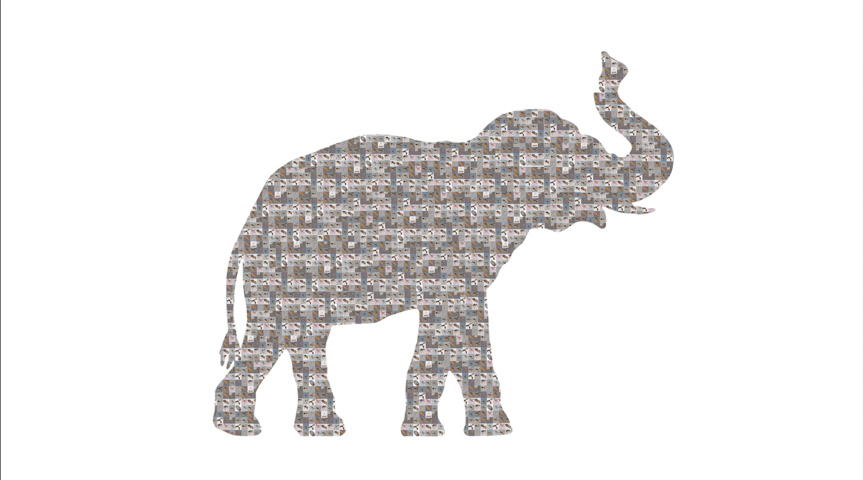 Meet the elephants of flying insect diversity: Twenty families account for most of diversity