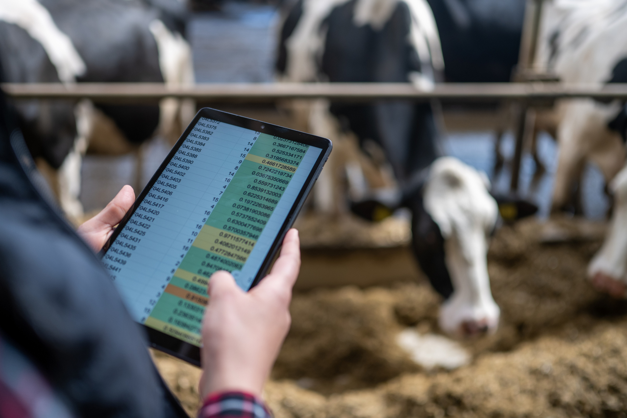 Call for papers: Computer vision for animal studies Collection