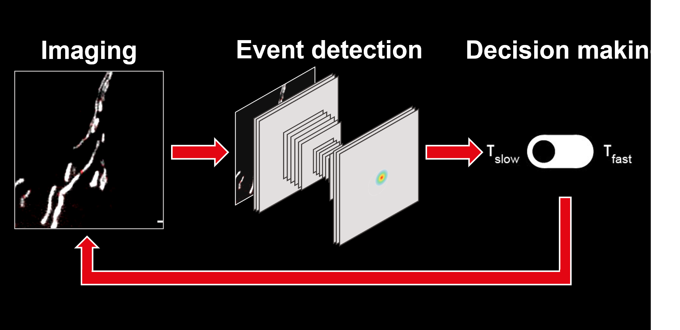 Intelligent microscopy: work smarter, not harder