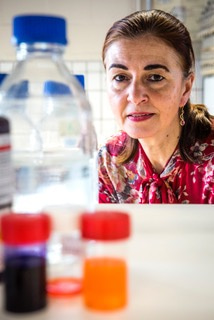 Go to the profile of Kristien Van Reeth