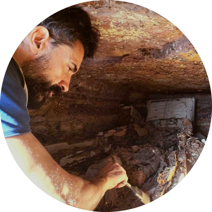 Go to the profile of Carlo Rindi Nuzzolo