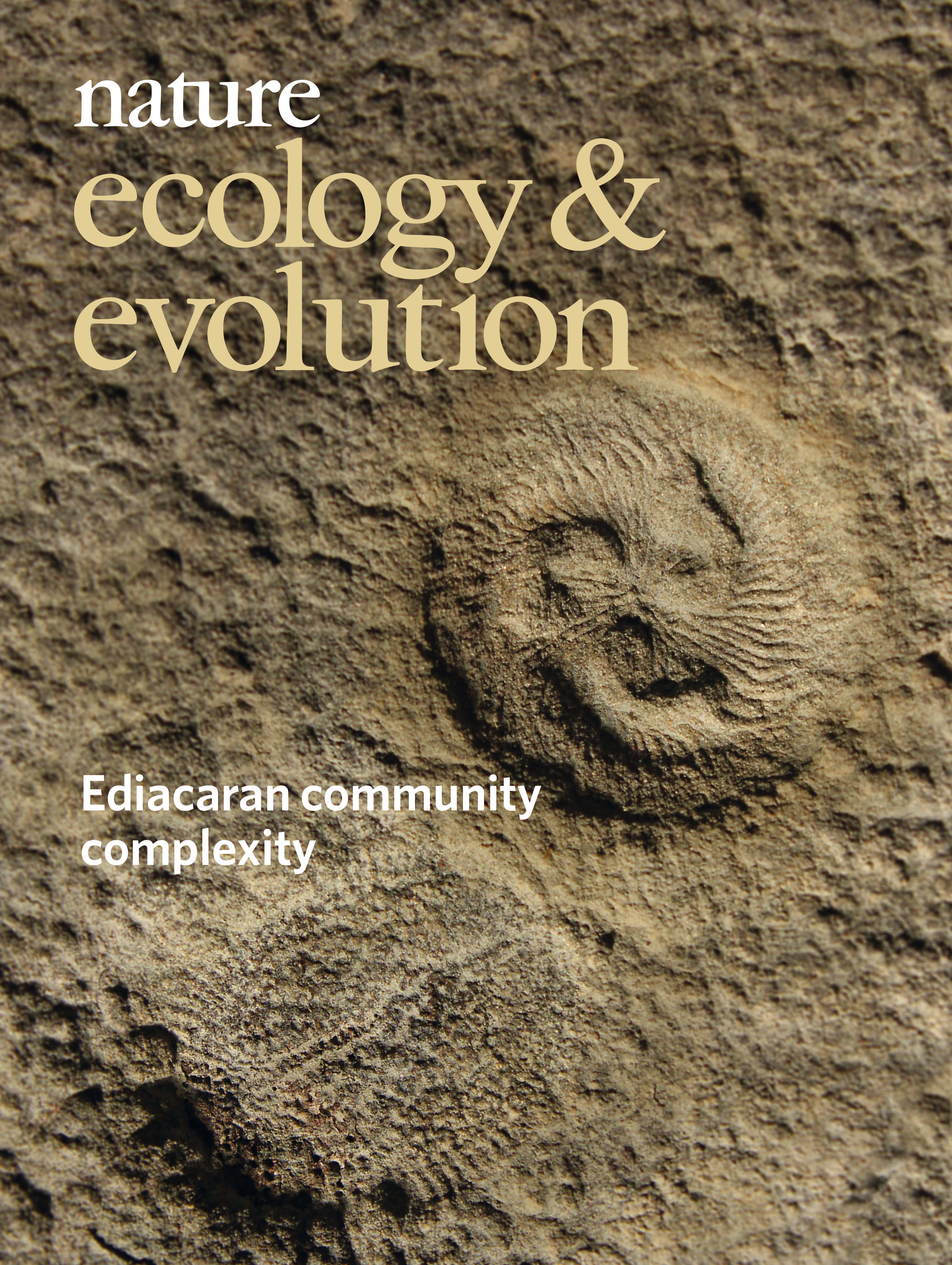 Gallery | October 2018 cover