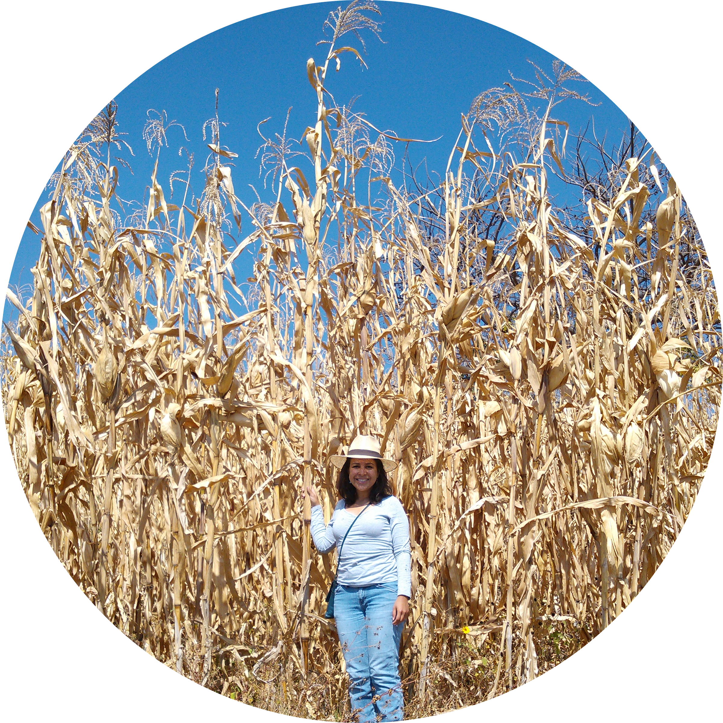 Go to the profile of Francis Denisse McLean-Rodríguez