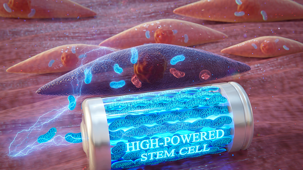 Targeted Mitochondrial Charging of Impaired Cells Using Mesenchymal Stem Cell