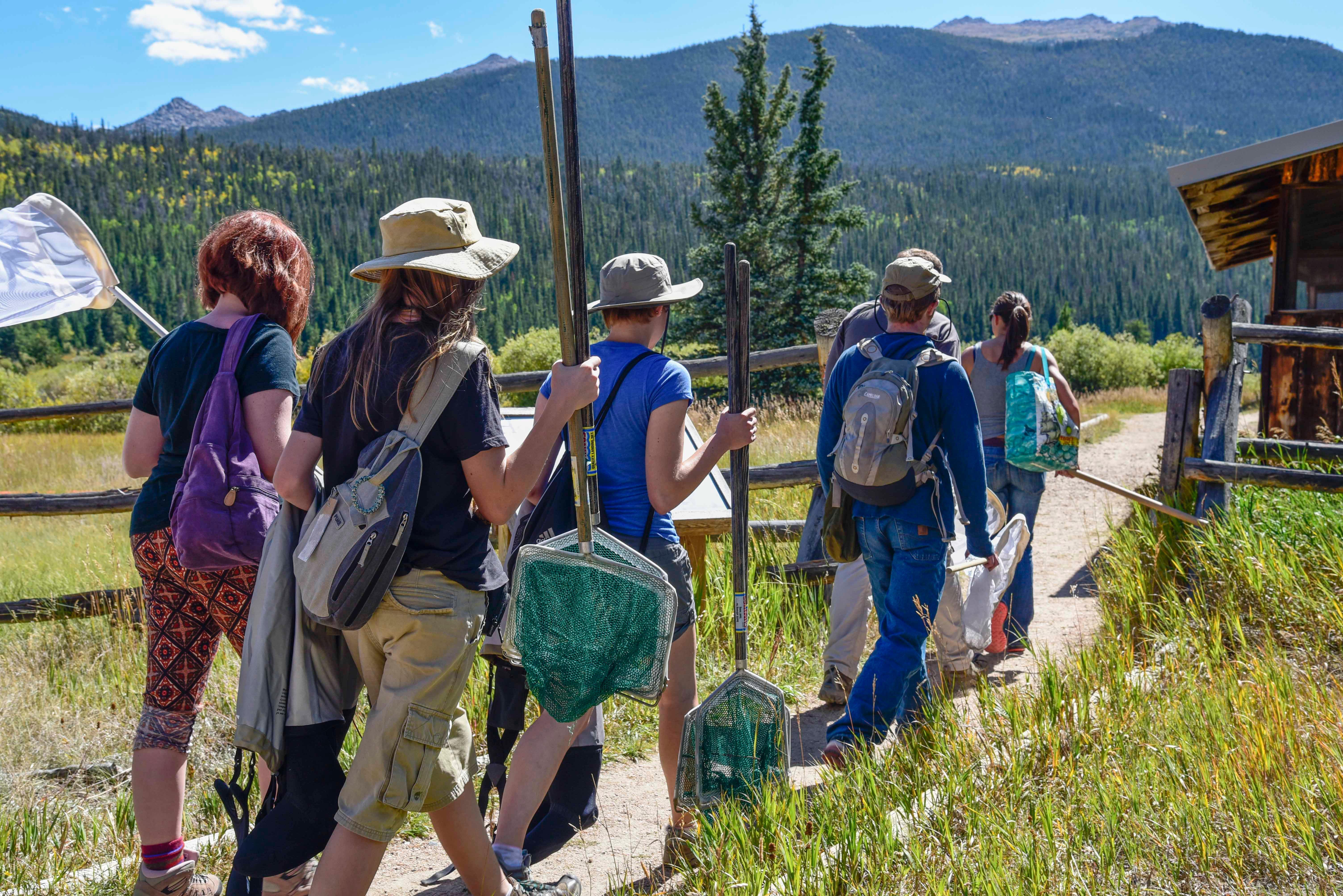How can we achieve diversity and inclusion in ecology?