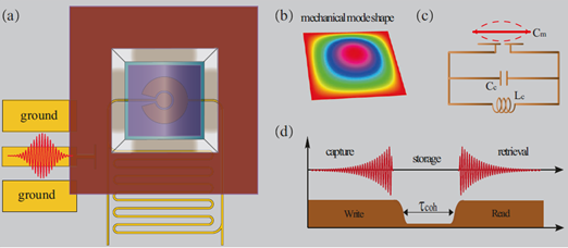 Coherent memory for microwave photons based on long-lived mechanical excitations