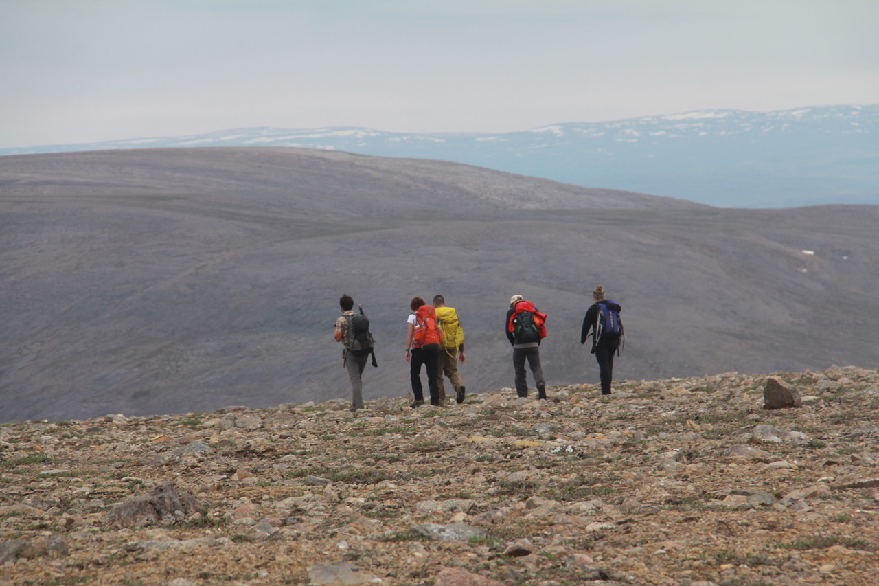Chasing Echoes of the Biosphere During Earth’s Middle History