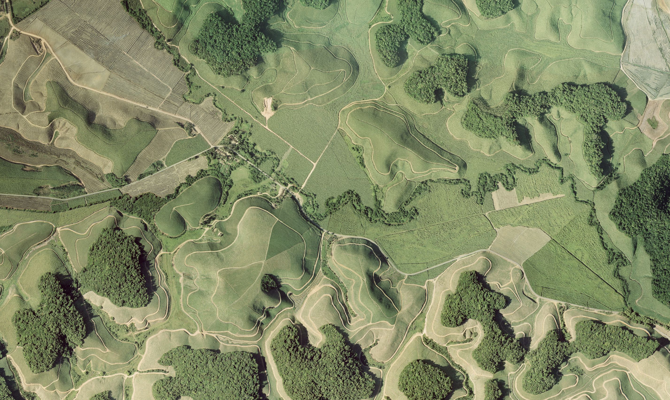 The 187/91 scaling rule of global tropical forest fragmentation