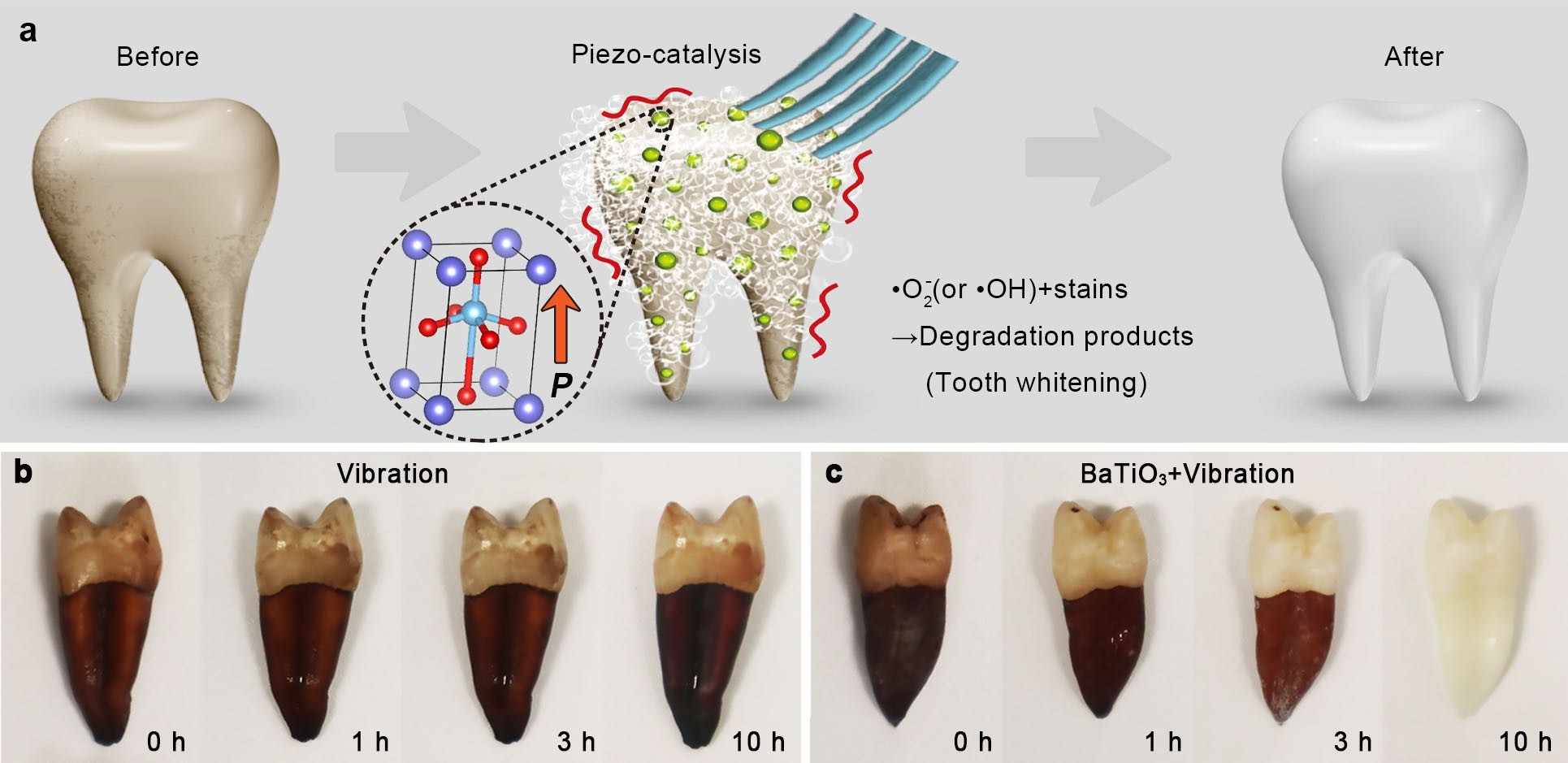 Piezoelectric materials for nondestructive tooth whitening---- extending beyond prior art of their applications