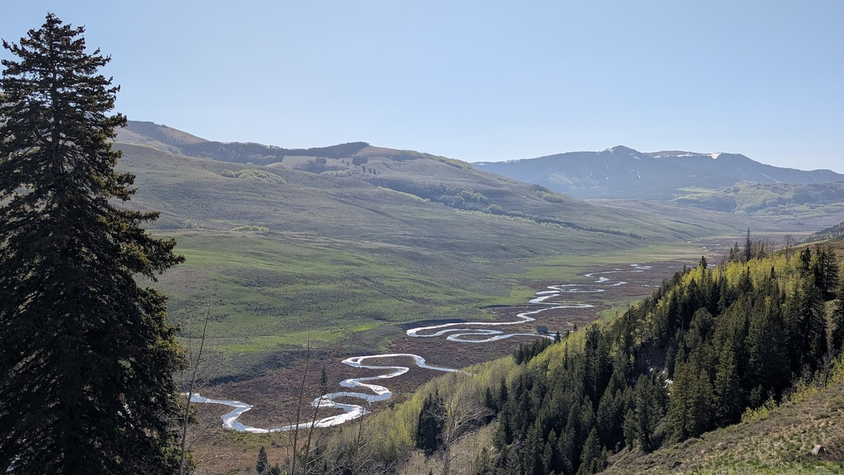 Disappearing summertime streamflow: warming and thirsty vegetation in the Upper Colorado, USA.