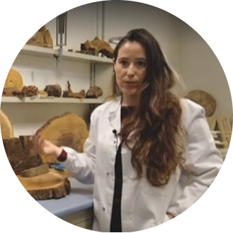 Go to the profile of Paulina  F. Puchi