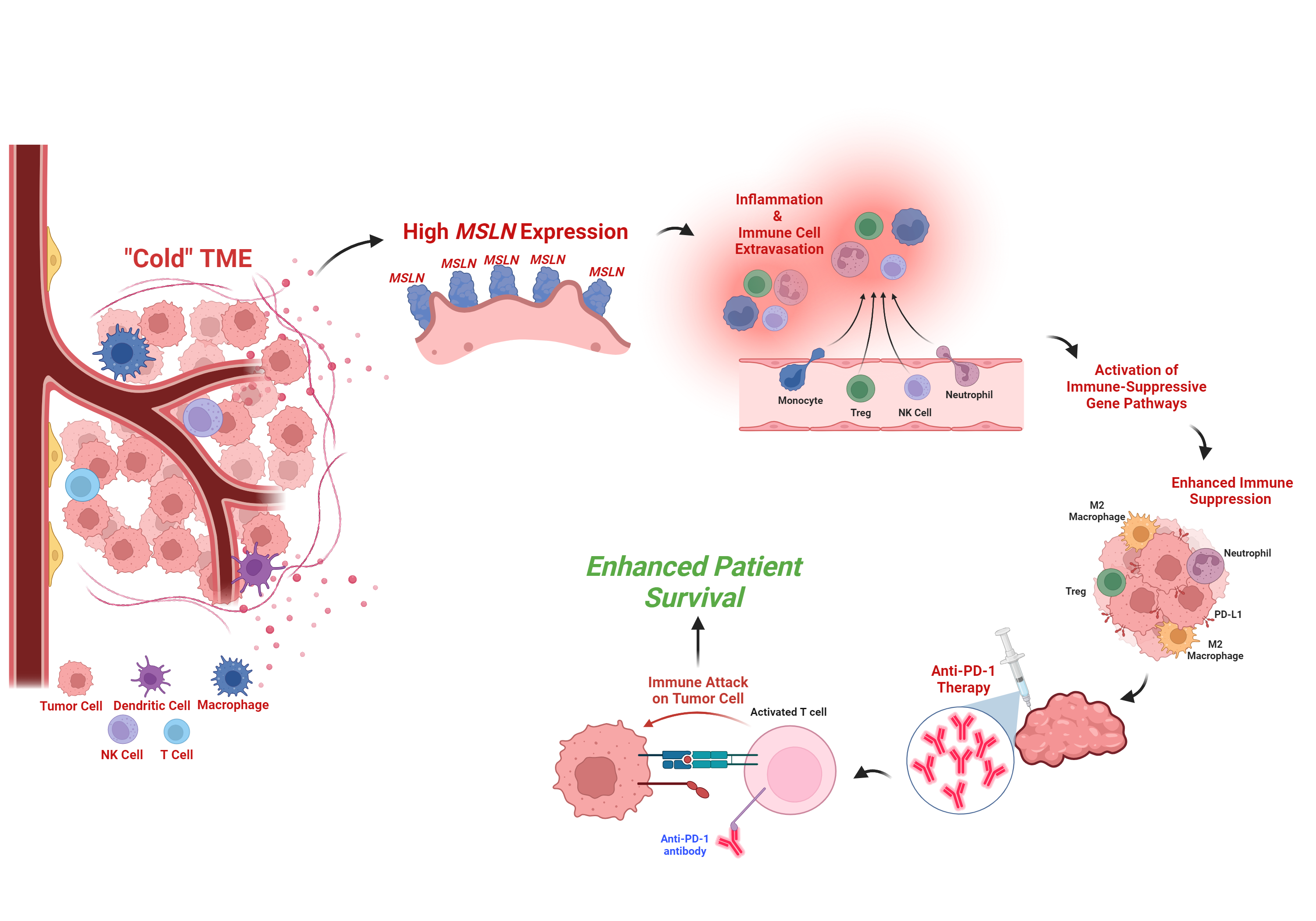 Battle of the Cold TME Frontier – Novel Biomarker in Microsatellite Stable Colorectal Cancer 