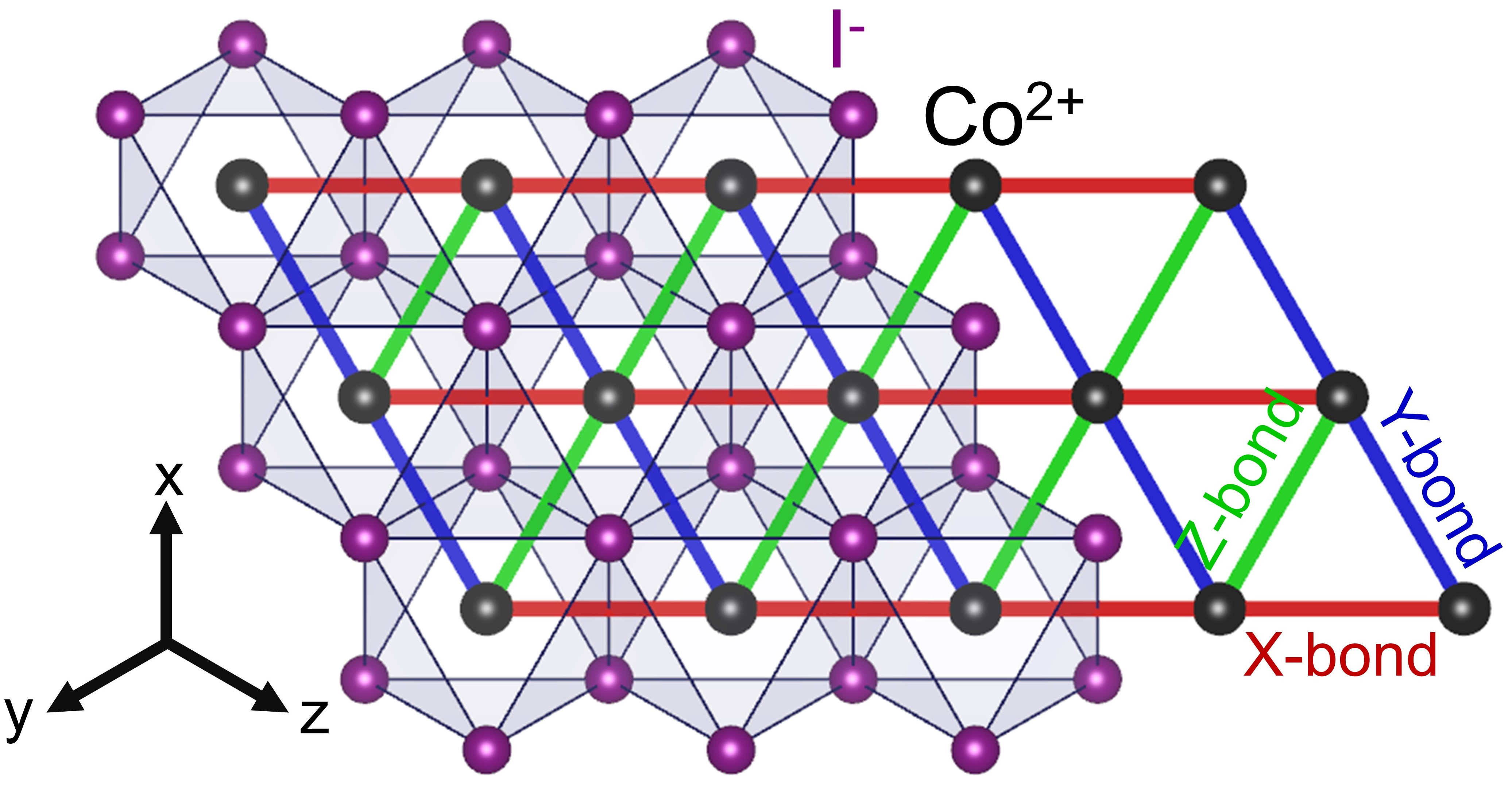New cobalt-based Kitaev triangular magnet and its magnon decay