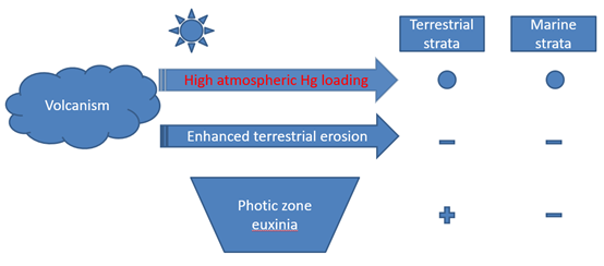 A new mercury isotope model provides strong evidence for marine photic zone euxinia in the end-Permian mass extinction