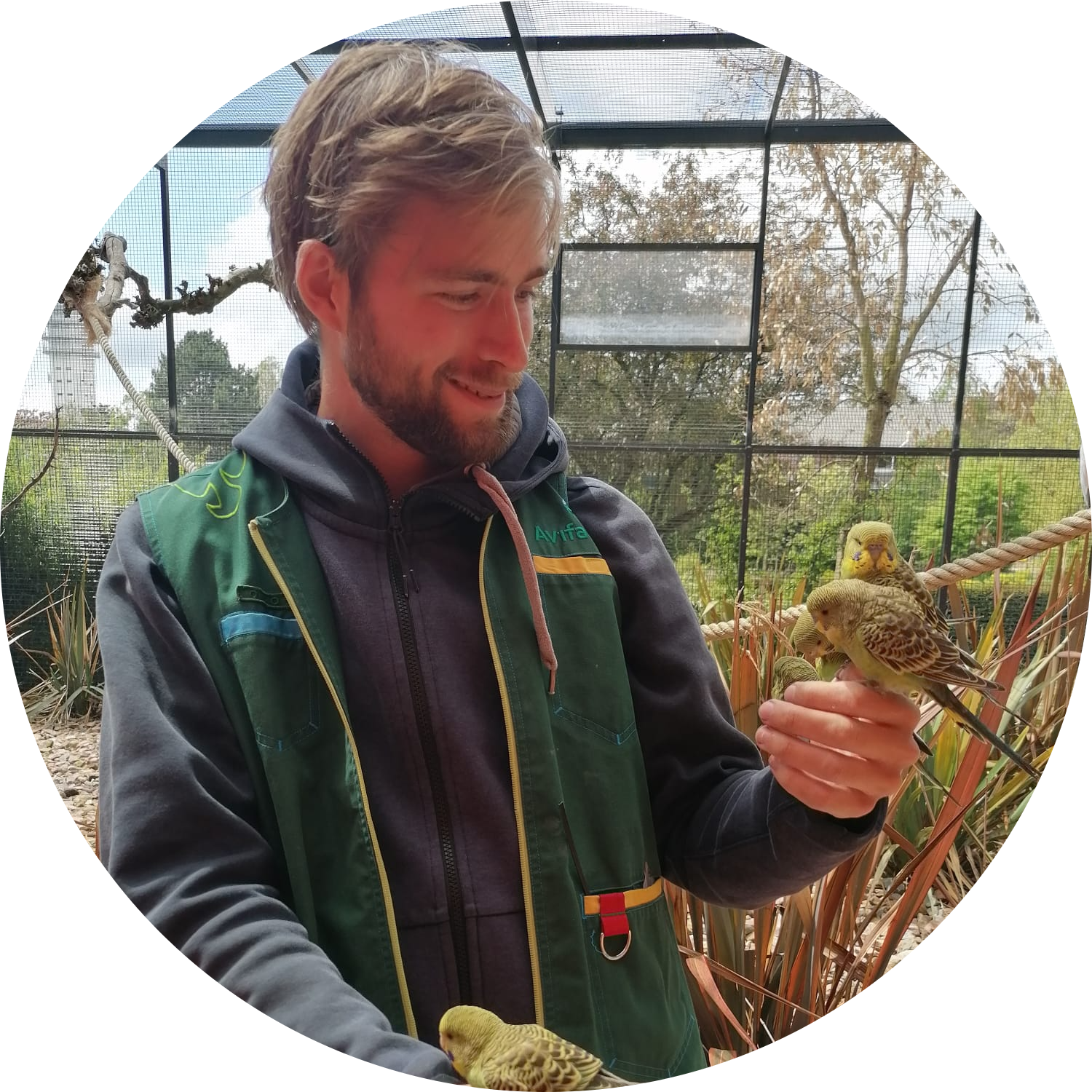 Go to the profile of Nick Dam