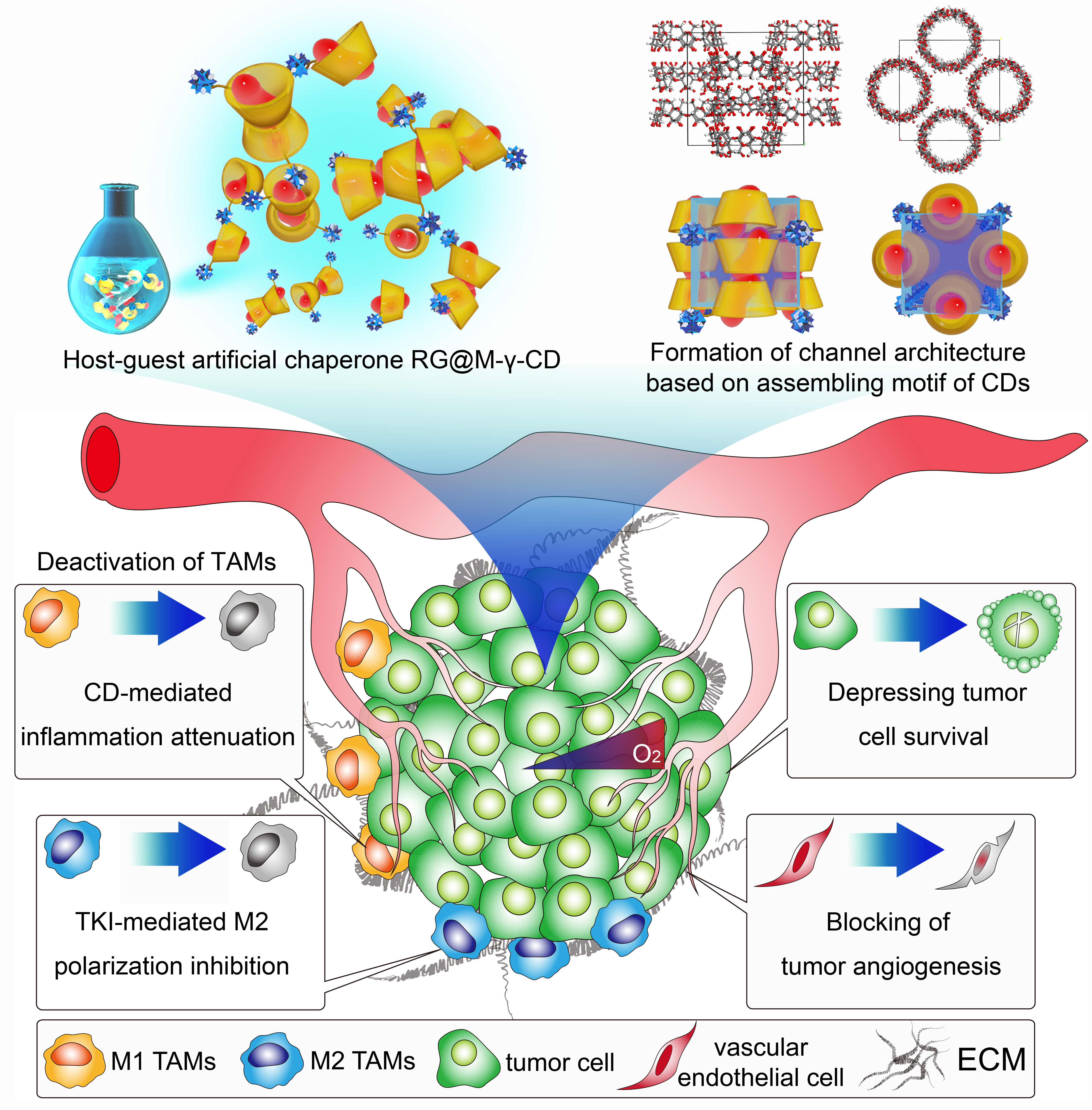 Cyclodextrin-based host-guest drug delivery system paves a way for synergetic intervention of tumor progression and inflammatory microenvironment against colorectal cancer
