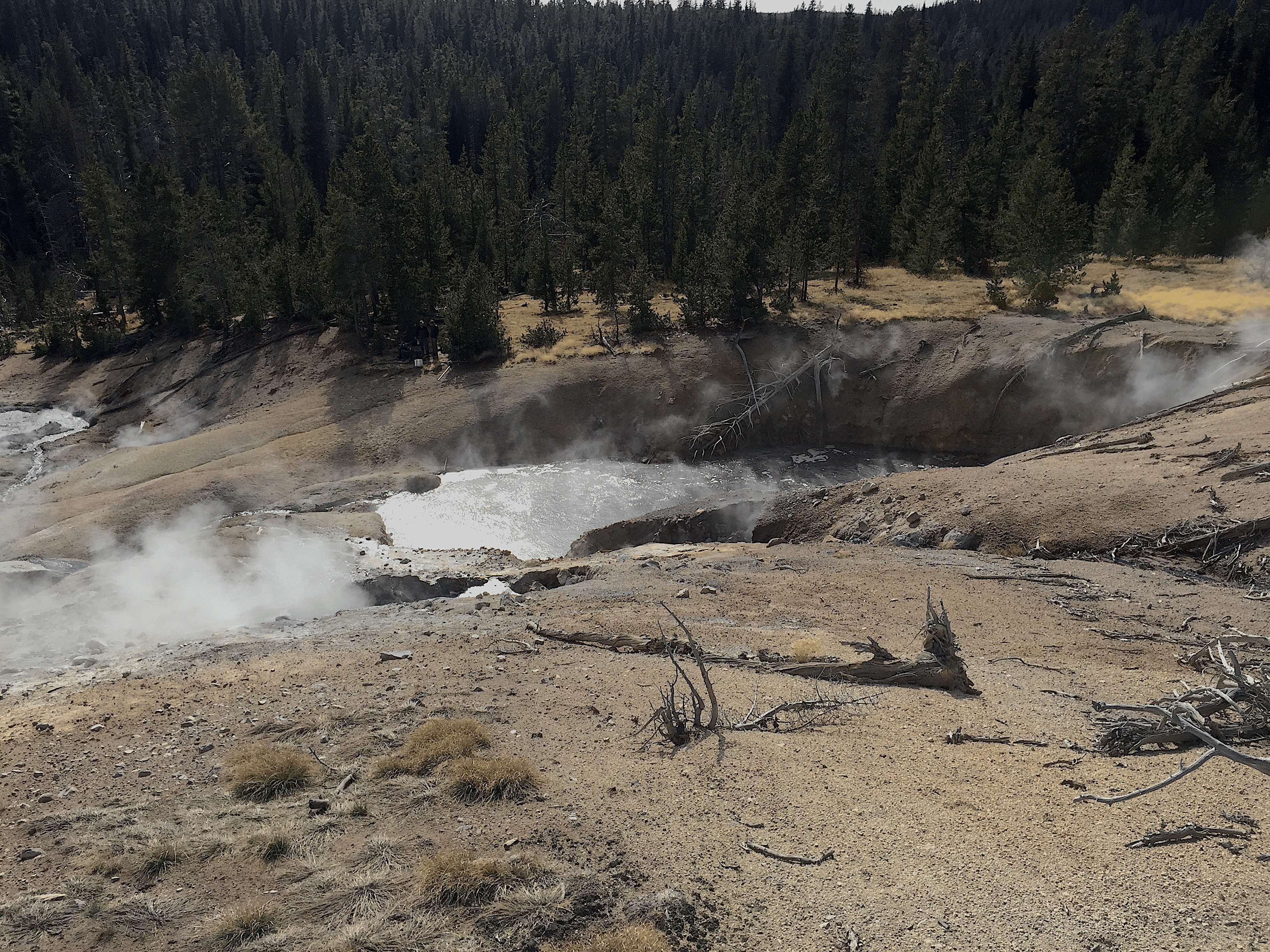 Methane and sulfur metabolisms collide in the Korarchaeota