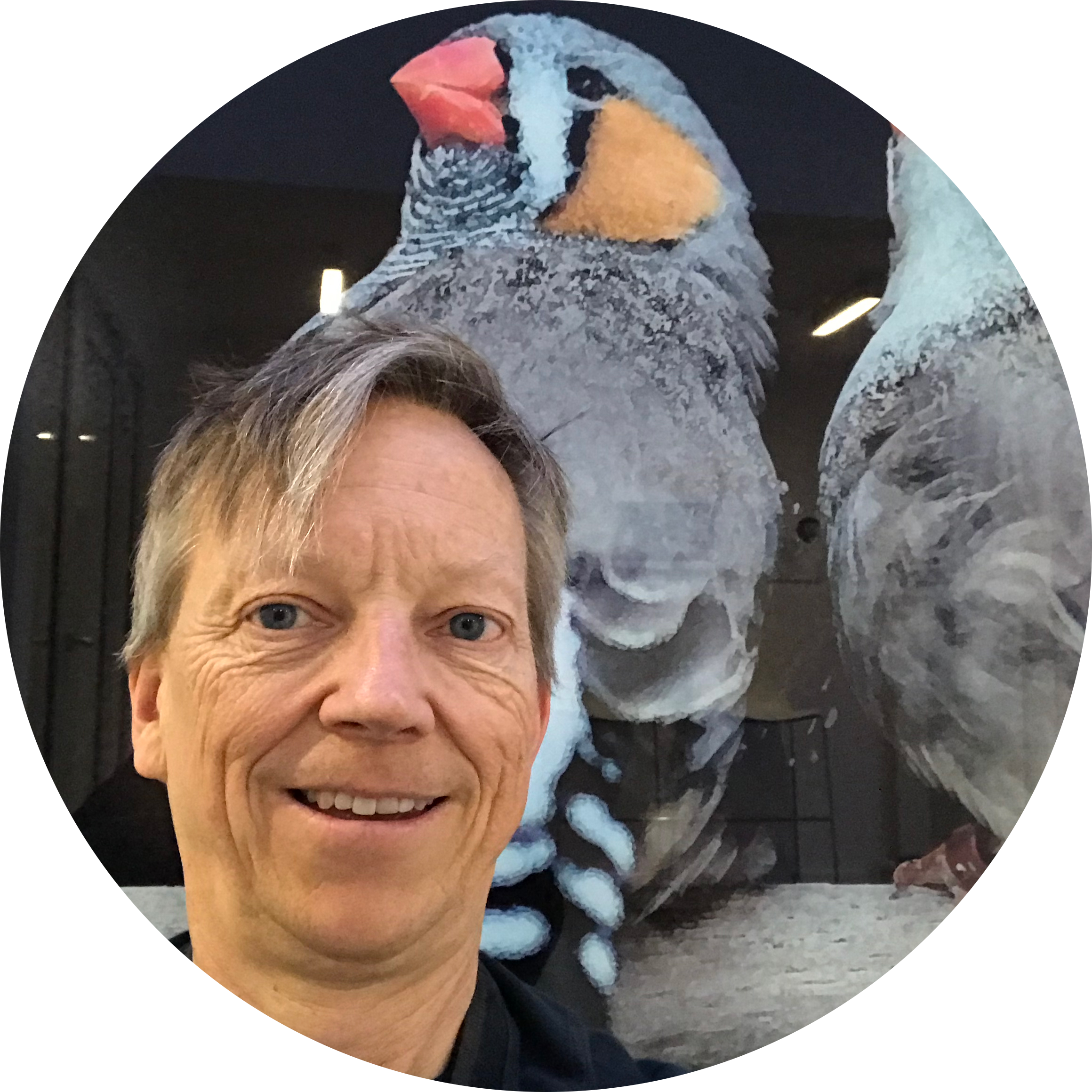 Go to the profile of Frederic Theunissen