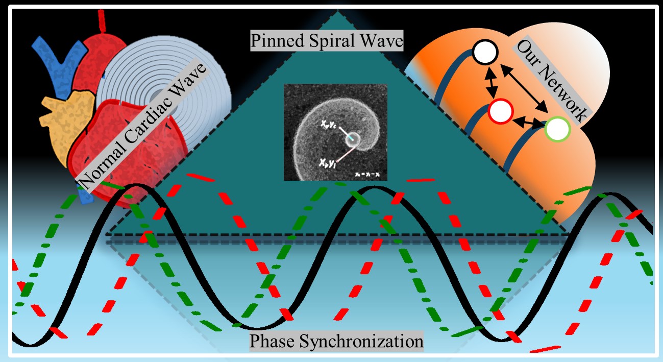 Do we really know about complex collective interactions of abnormal cardiac waves?
