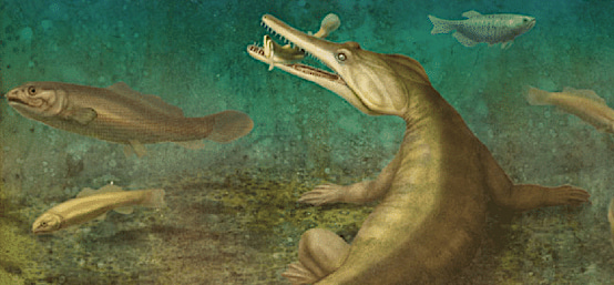 Which came first: the reptile or the egg?