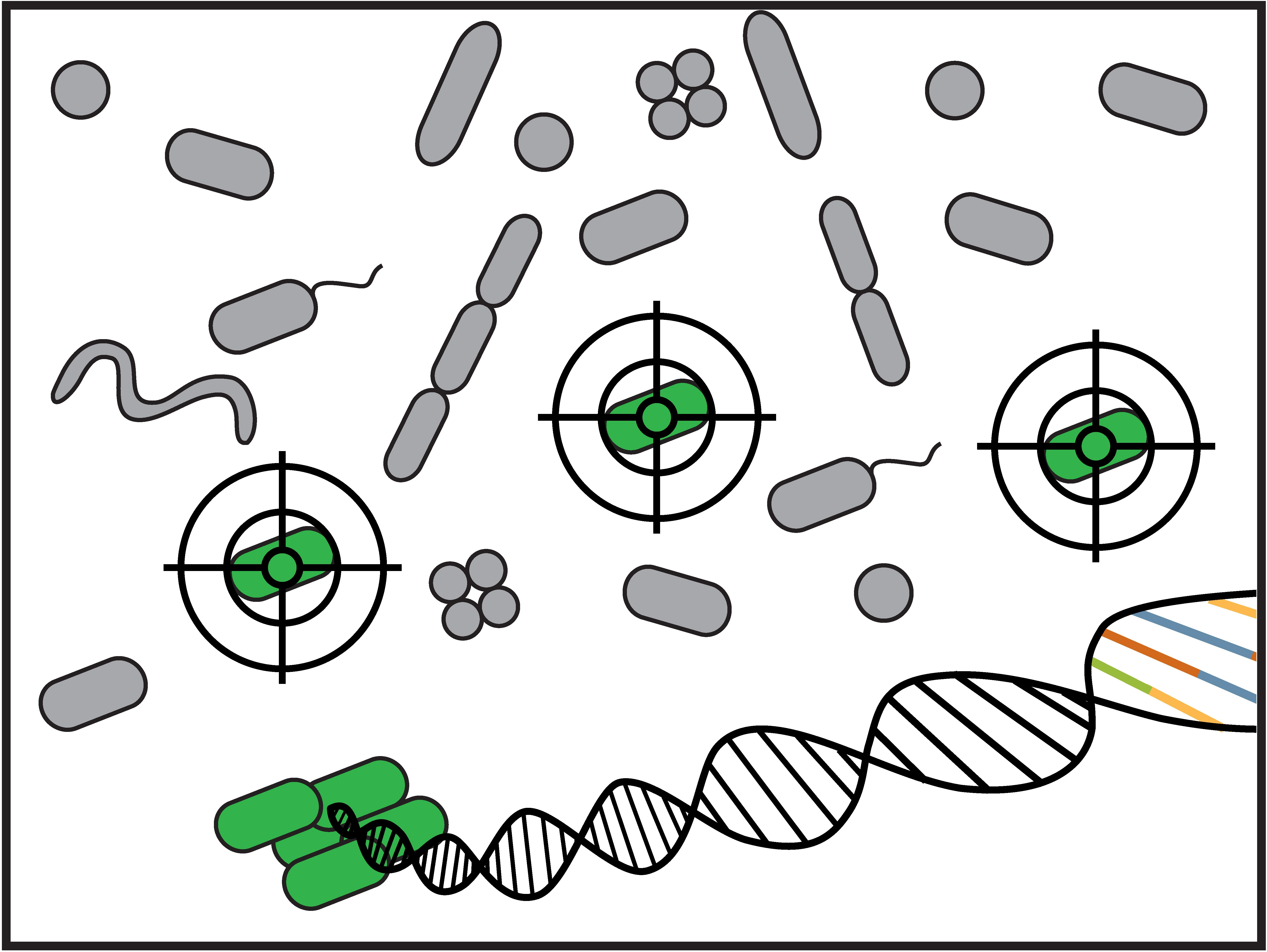 Finding the needle in the haystack via targeted genomics