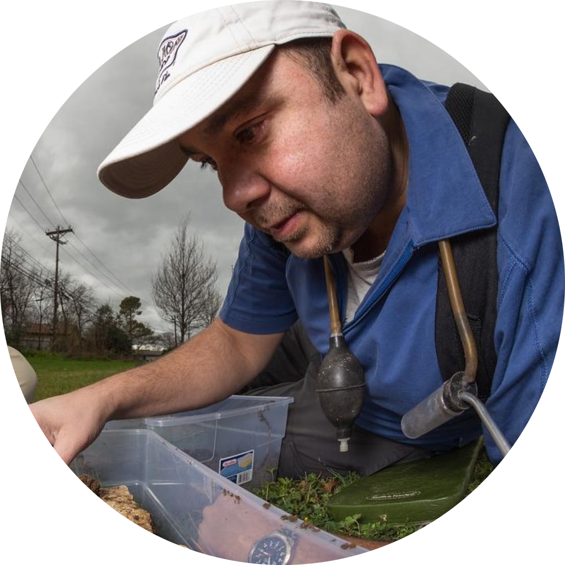 Go to the profile of Ehab Abouheif