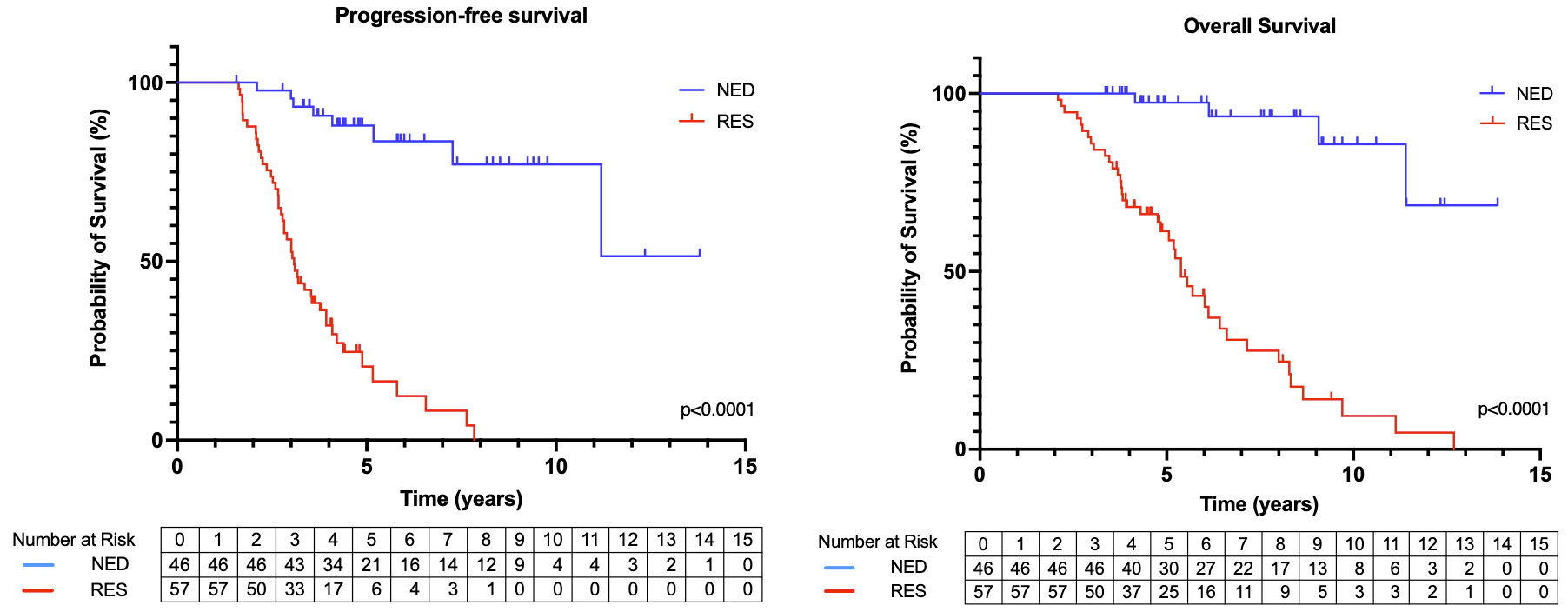 No Evidence of Disease in patients with HER2-positive metastatic breast cancer – can some patients stop treatment?