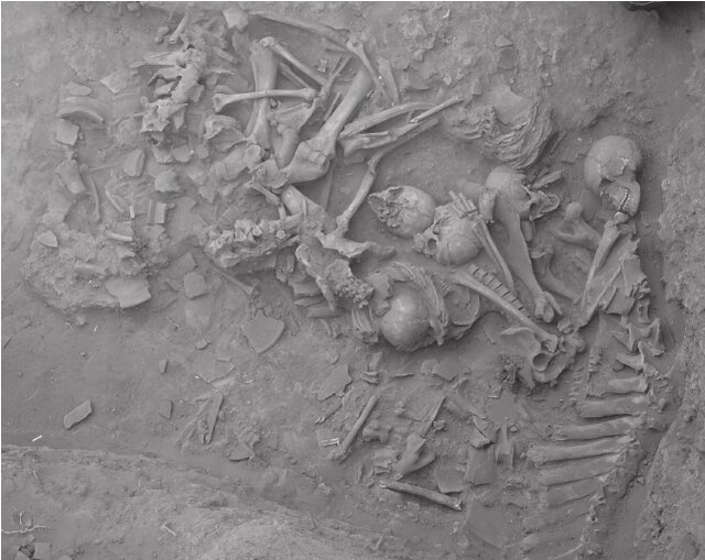 Looking for Violence in Deep History: Building a Bioarchaeological Dataset Across 12,000 Years