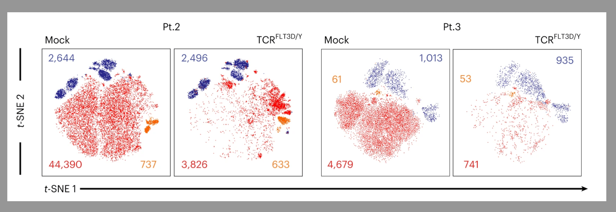 Shared neoantigens as targets for TCR T cell adoptive therapies