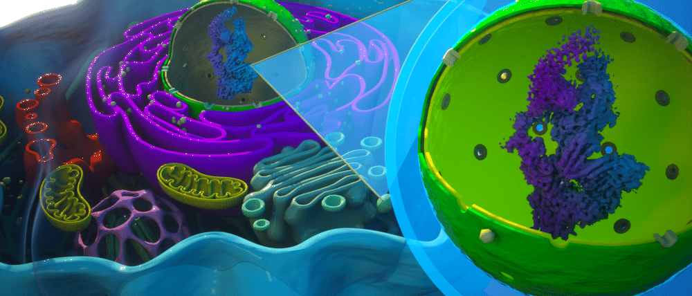 Recipe for success - interaction proteomics becomes a household item