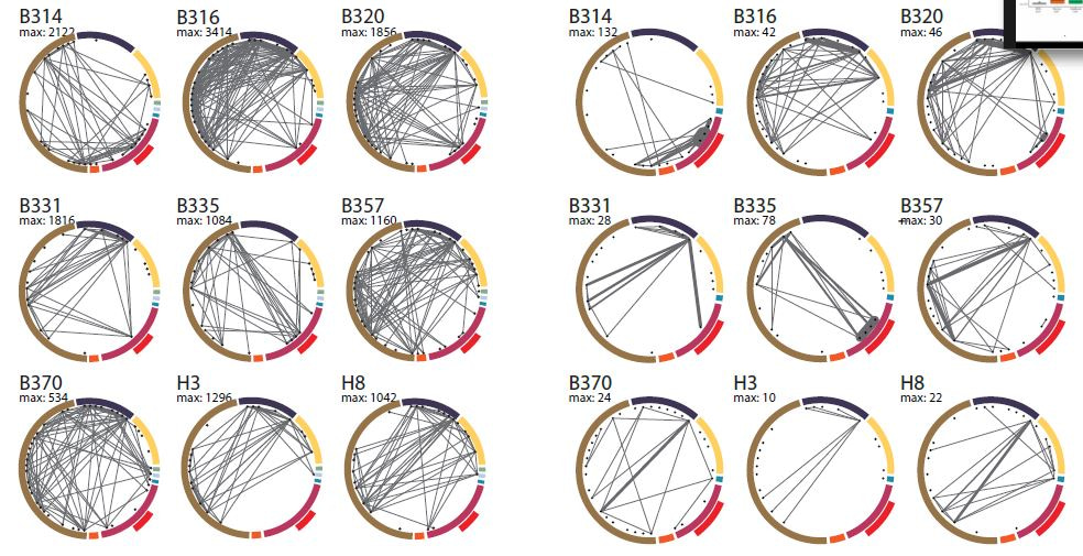 Tracking mobile elements between commensals and pathogens in the gut microbiome