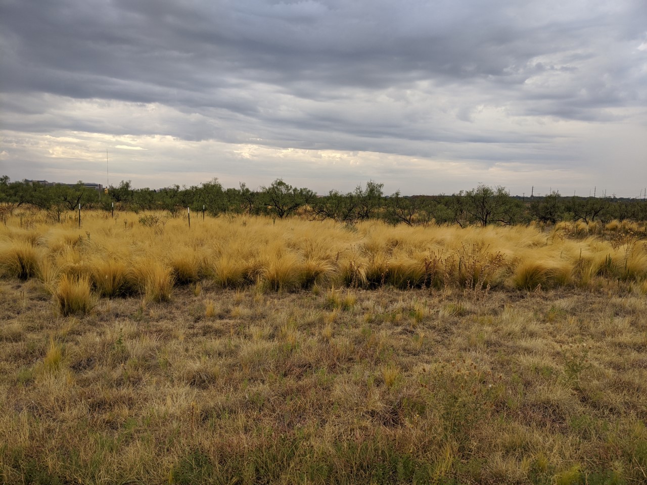 The power of air: Airborne environmental DNA plant community monitoring