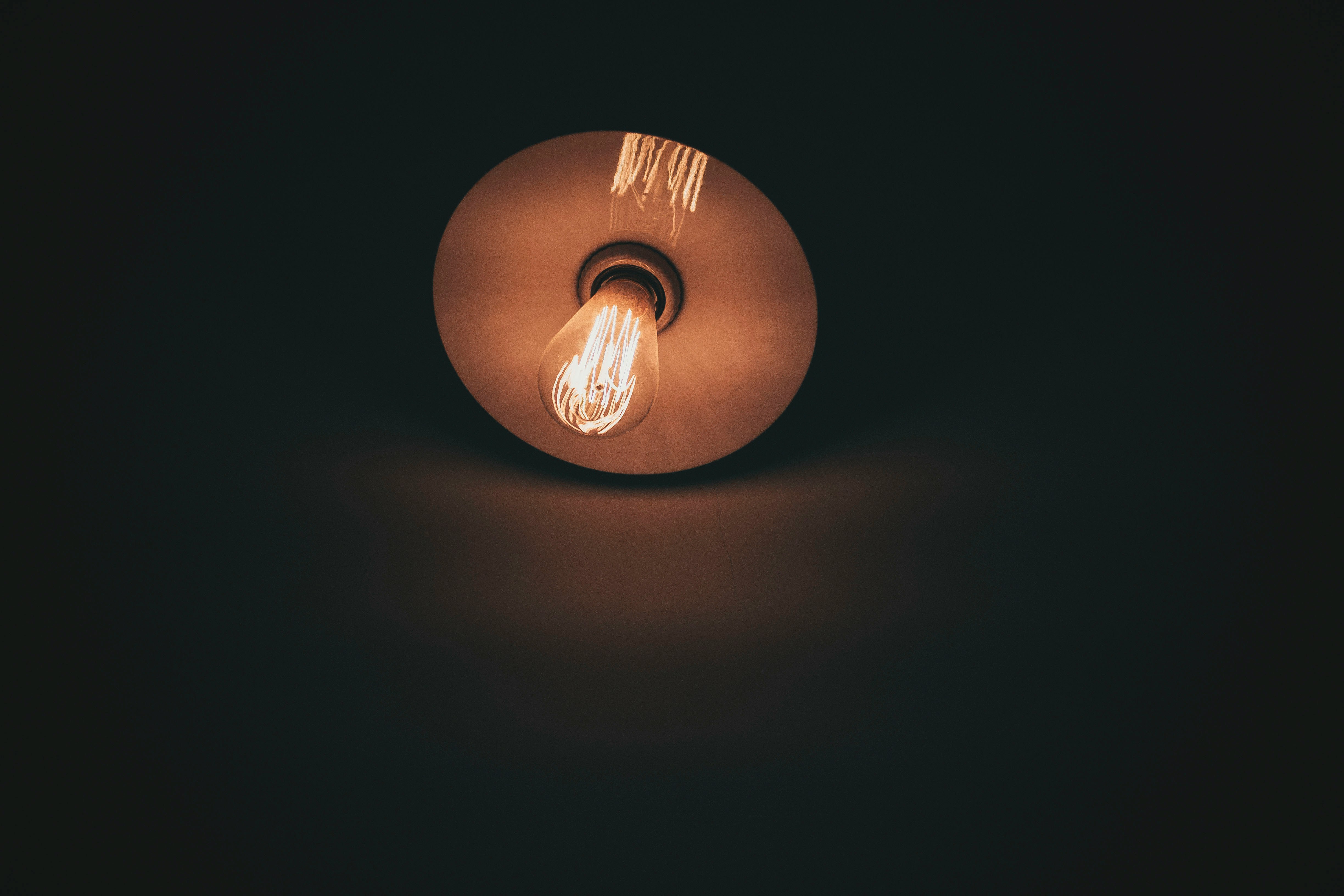 Quarterly Highlights from the Humanities and Social Sciences Communities 
