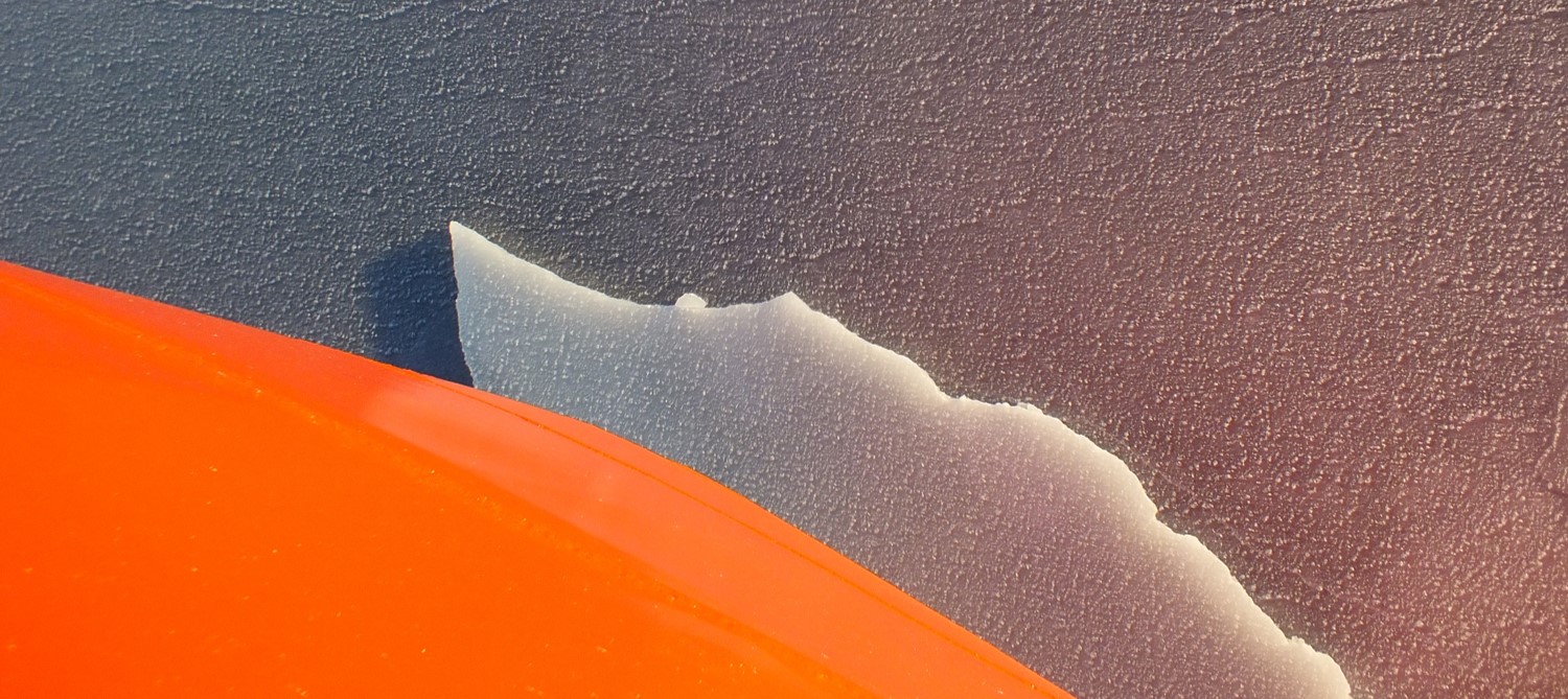 An Antarctic plasmid goes viral