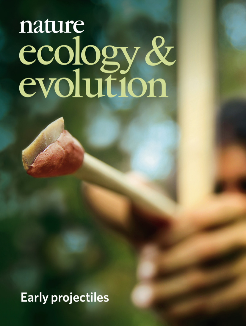 Gallery | October 2019 cover