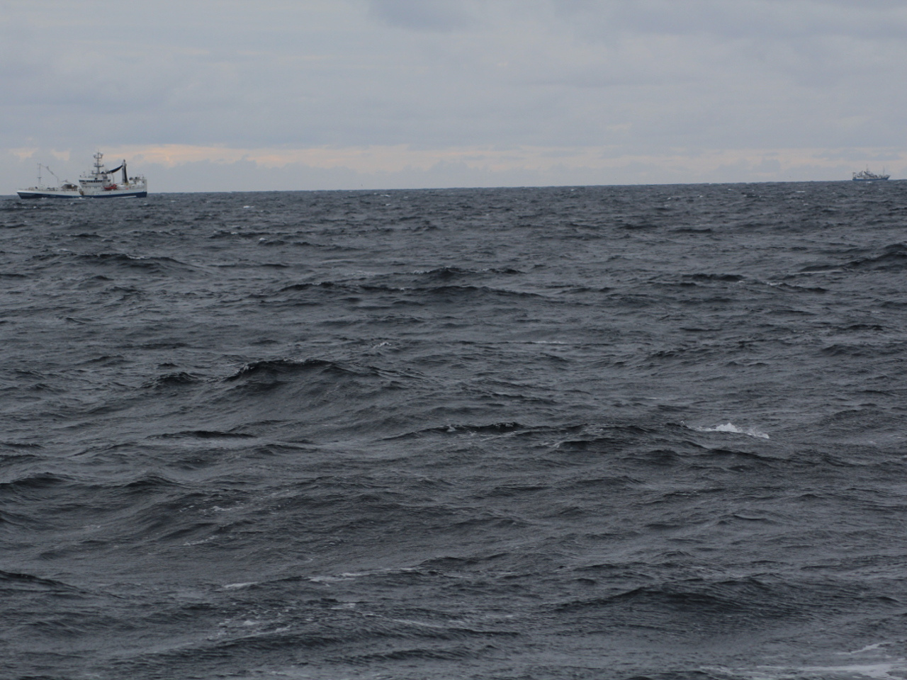 Big fish trouble in Europe, especially the Mediterranean