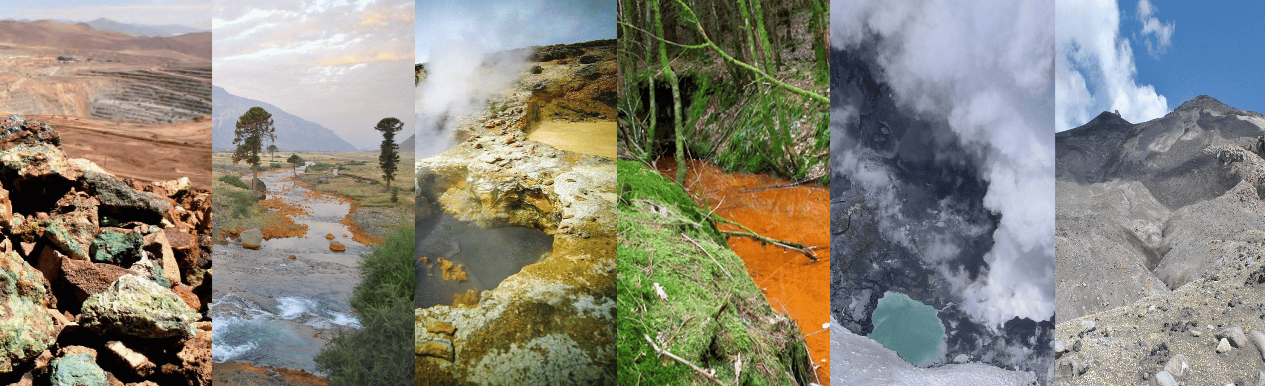 Deep-branching Proteobacteria diversifying in extreme acidic environments