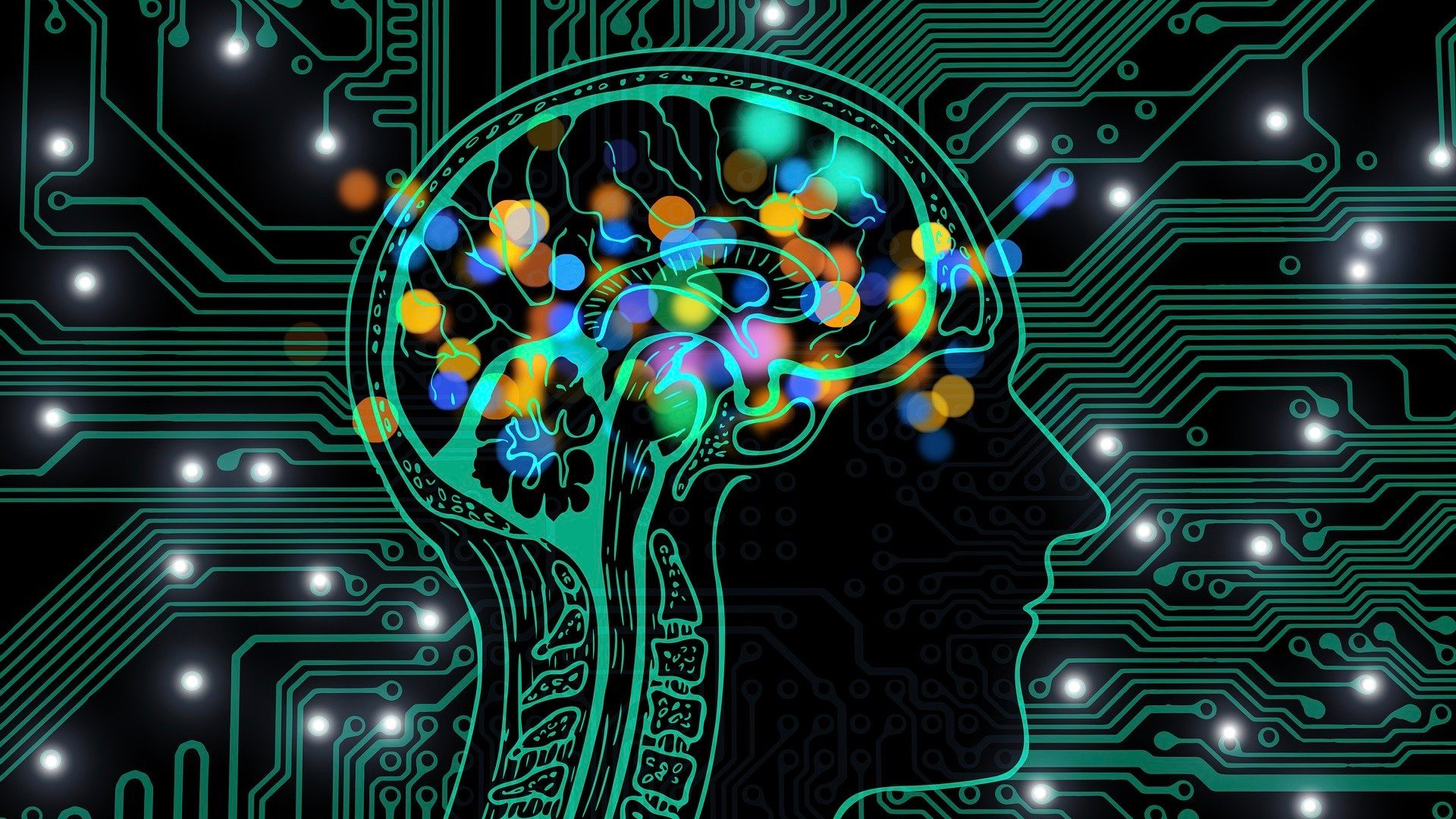 Do tests effect learning?