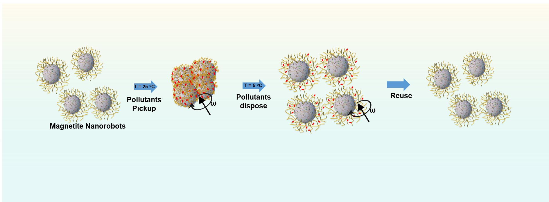 Pick up and dispose of pollutants from water via temperature-responsive micellar copolymers on magnetite nanorobots