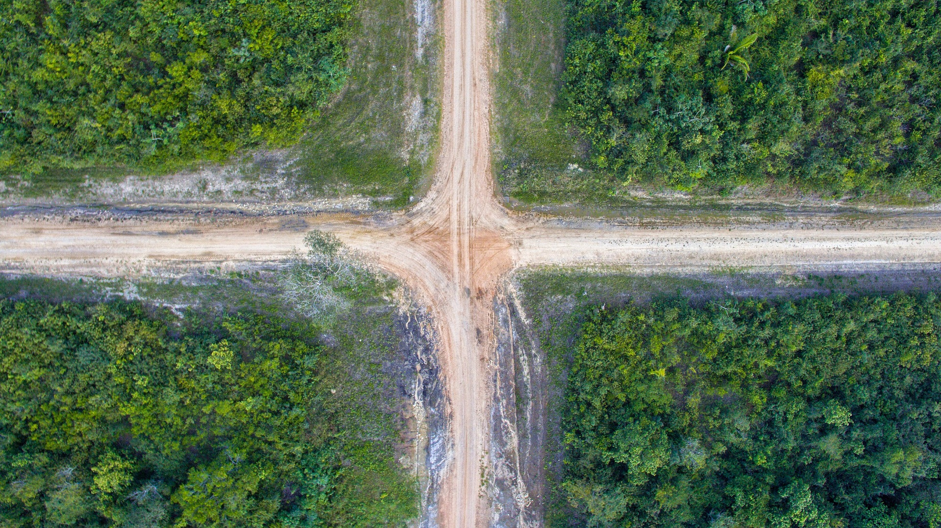 Transparency & Replication in Social Science: Crisis or Crossroads?