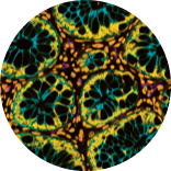 Go to the profile of Holly M Poling