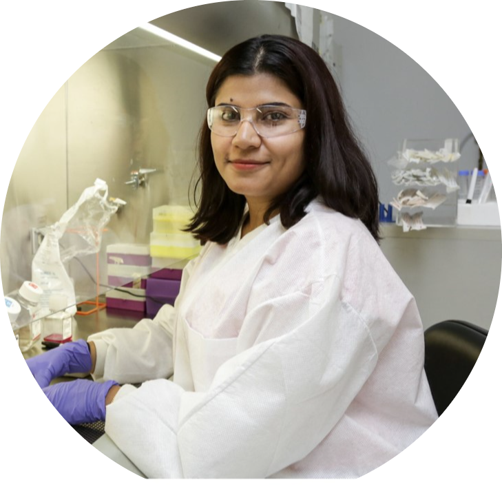 Go to the profile of Debjani Pal