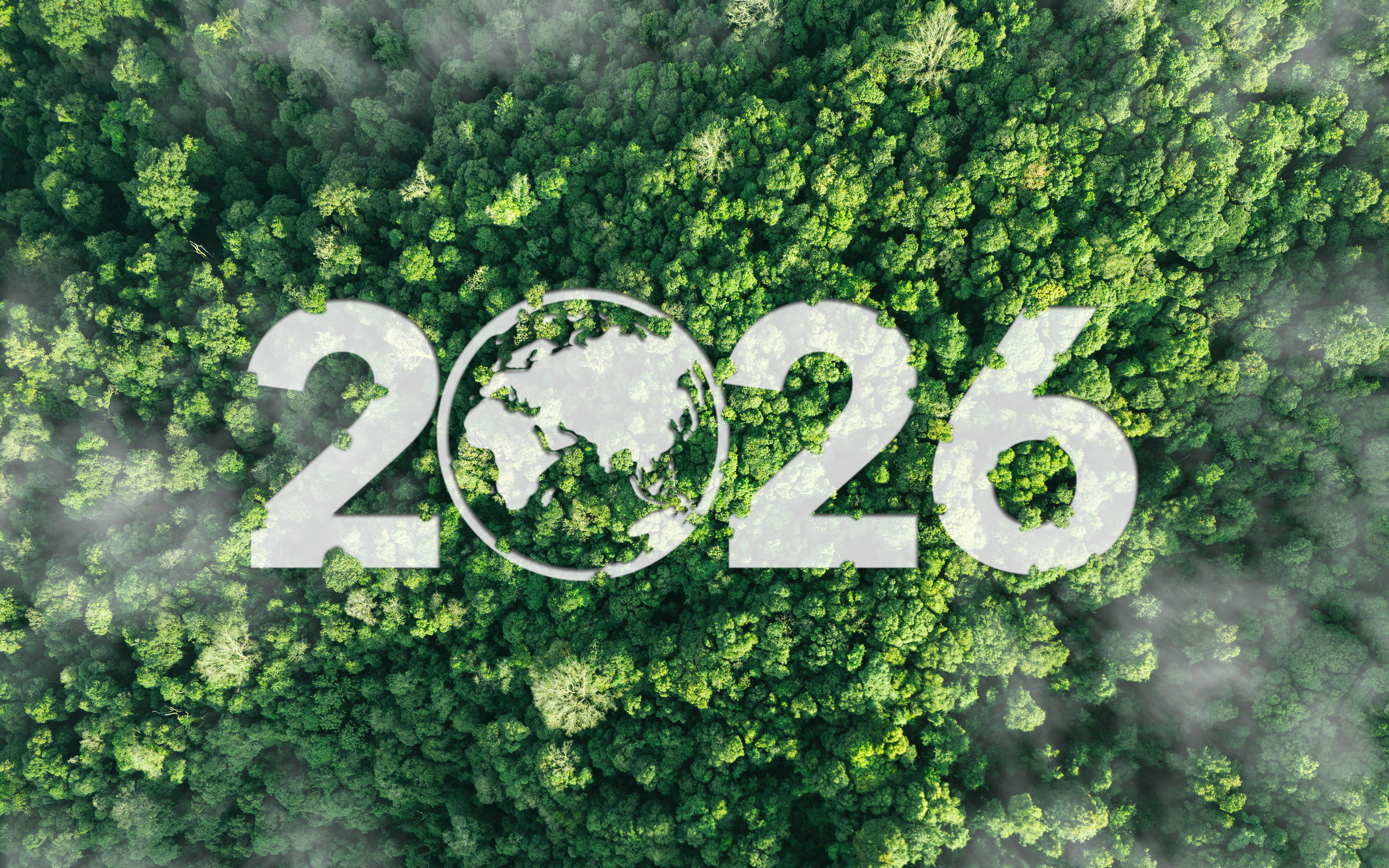 International Day of Forests 2026 : Highlights from BMC Series