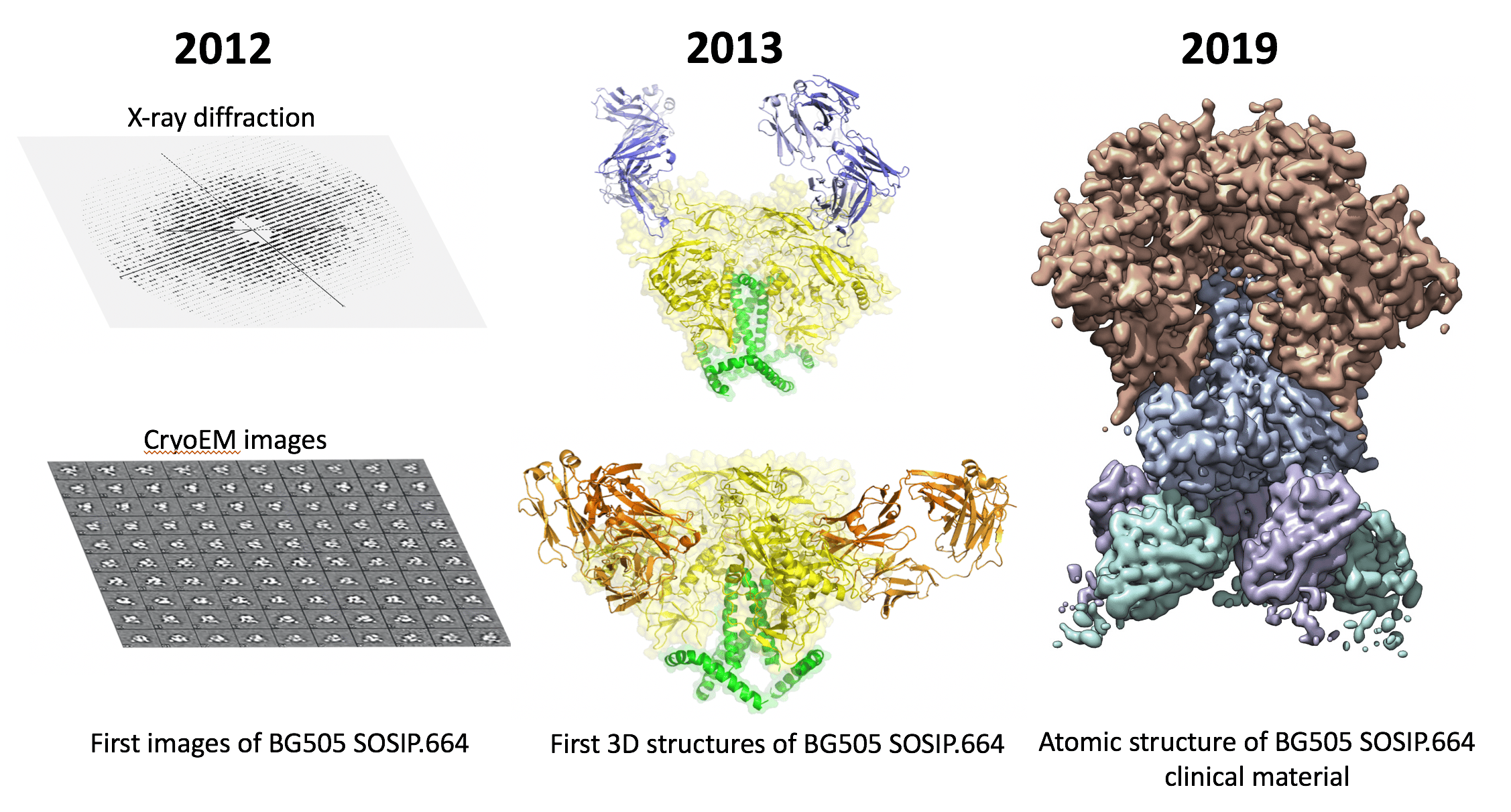 After the Paper: Solving the Structures that Drive HIV Vaccine Design