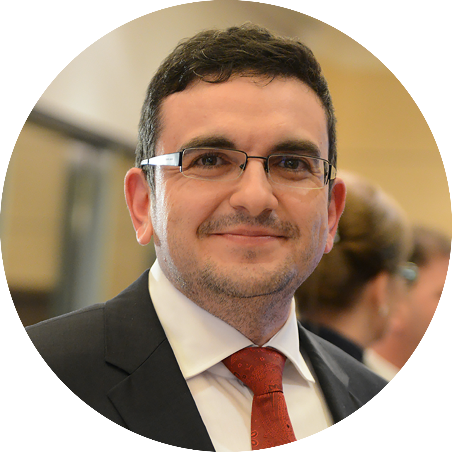 Go to the profile of Silvio Manfredo-Vieira