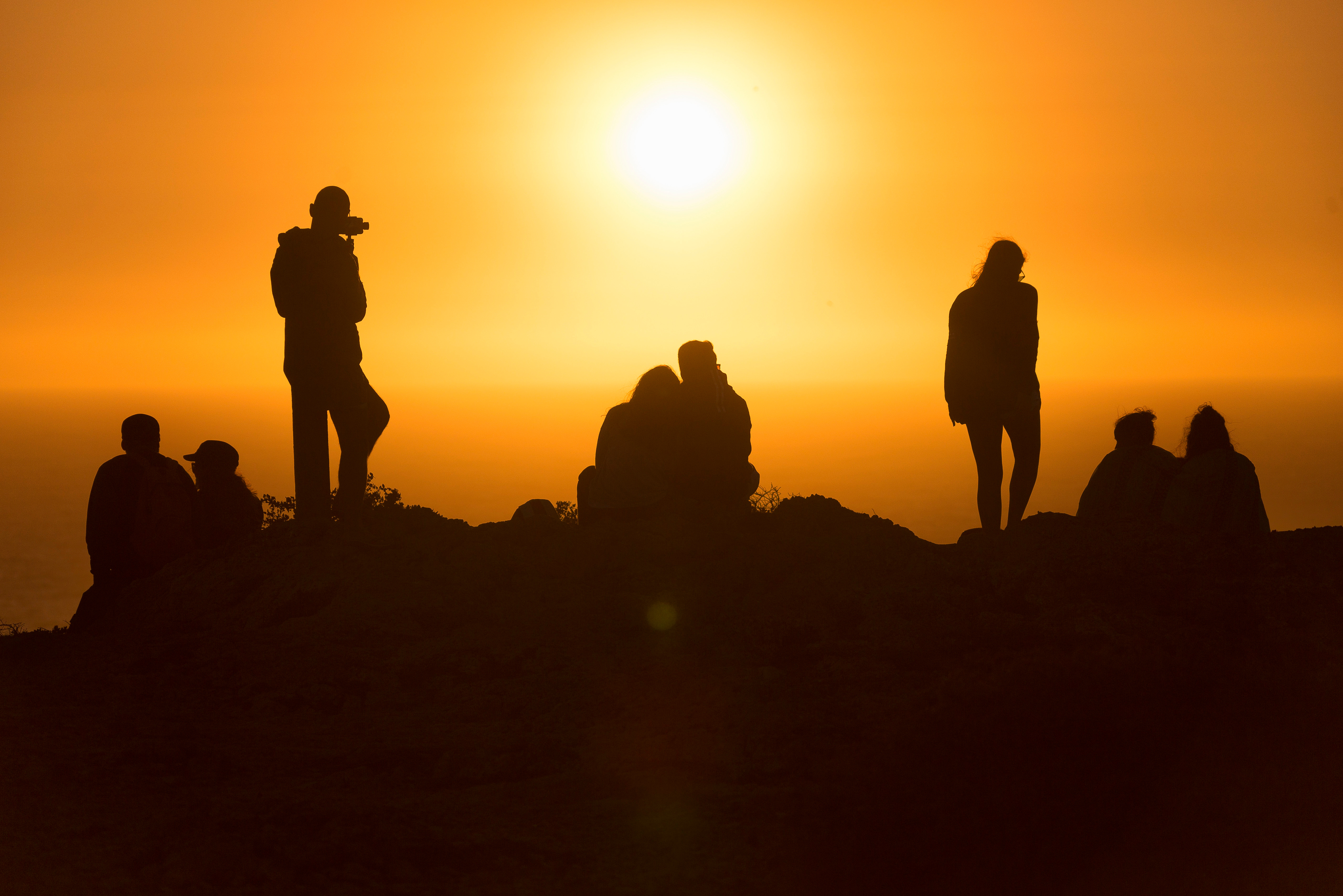 The birth of a new platform to bring Ecology closer to society