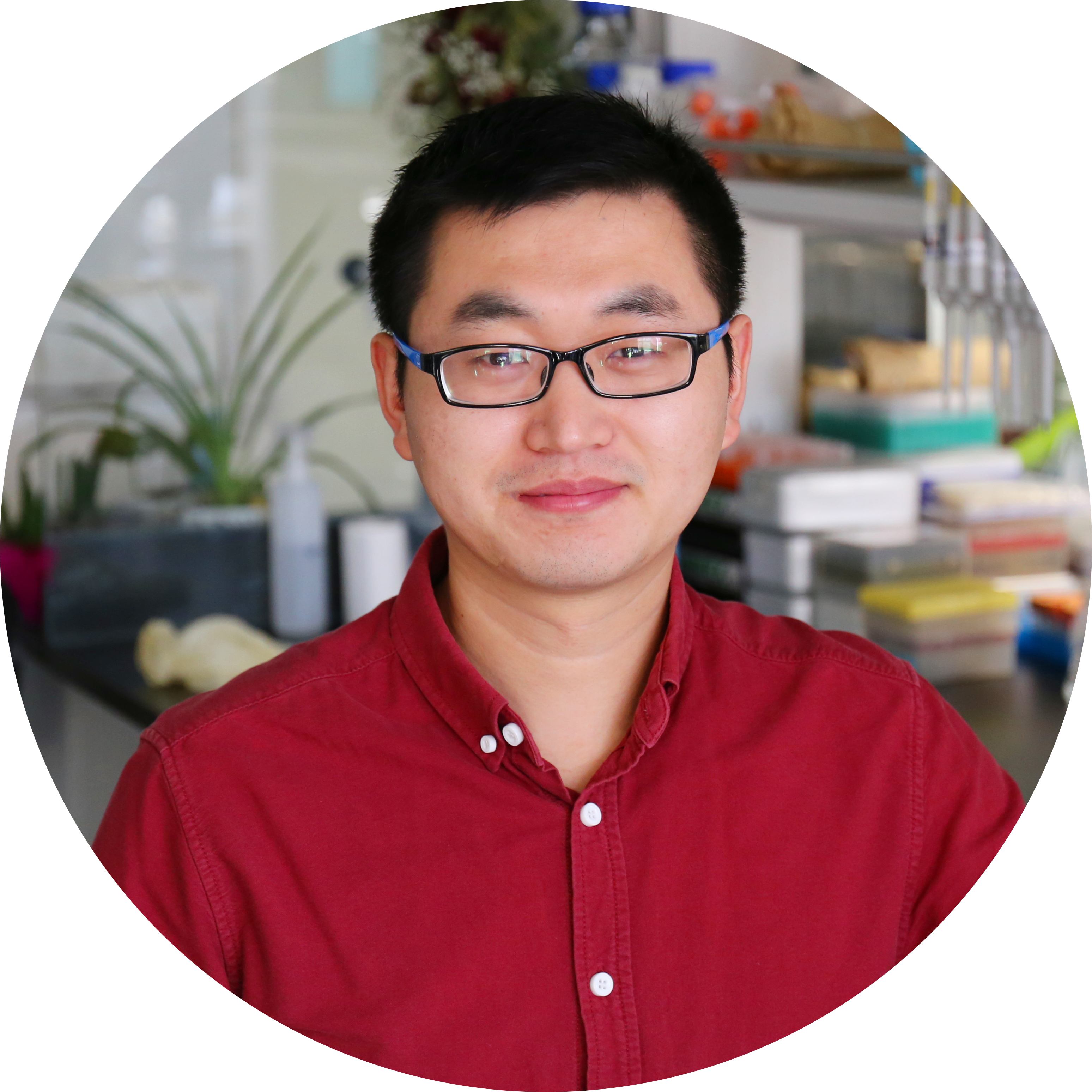 Go to the profile of Miaomiao Li